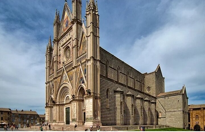 Вот так он выглядит. Фото из интернета.