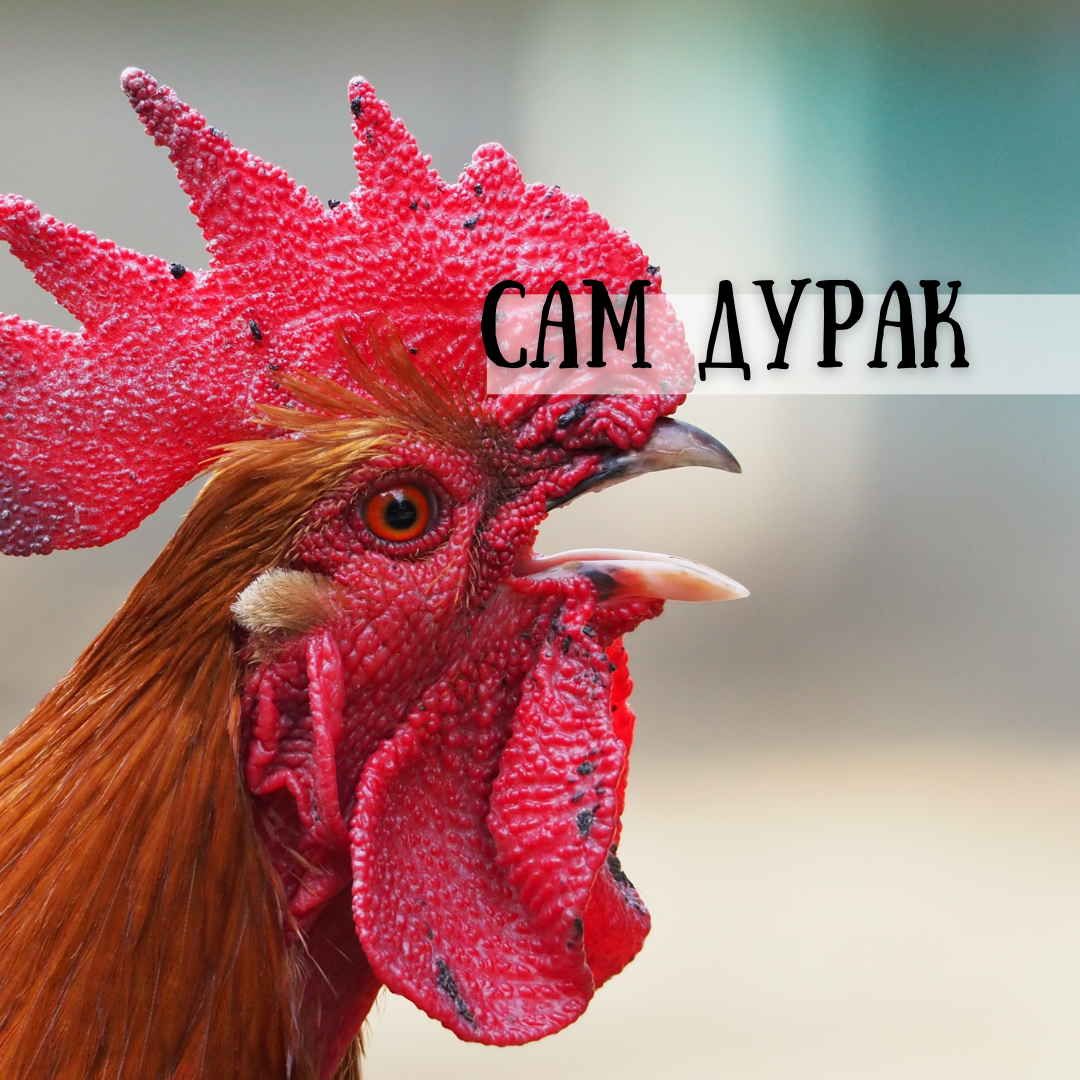 Создано на canva.com