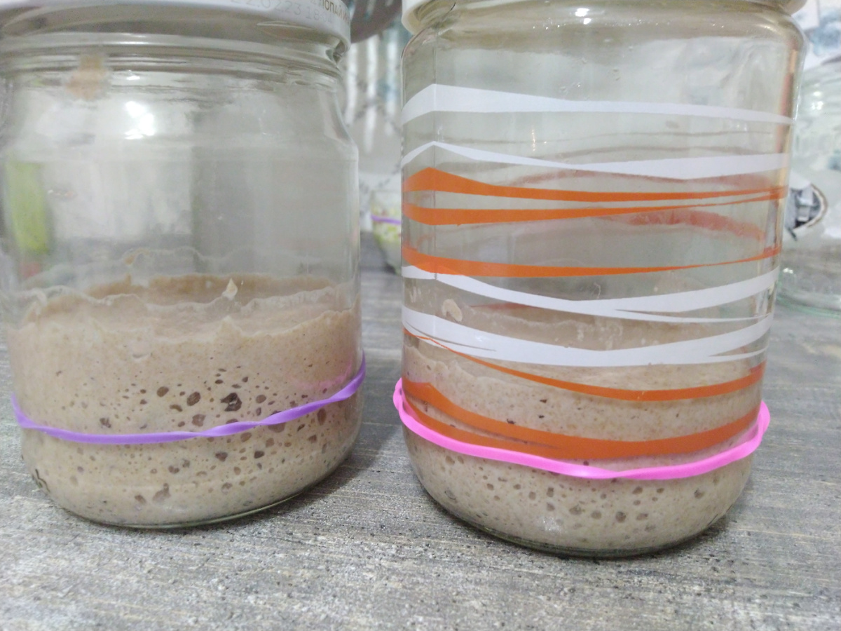 Результат 5 дня