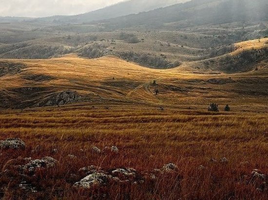     Фото пресс-службы МЧС по Республике Крым