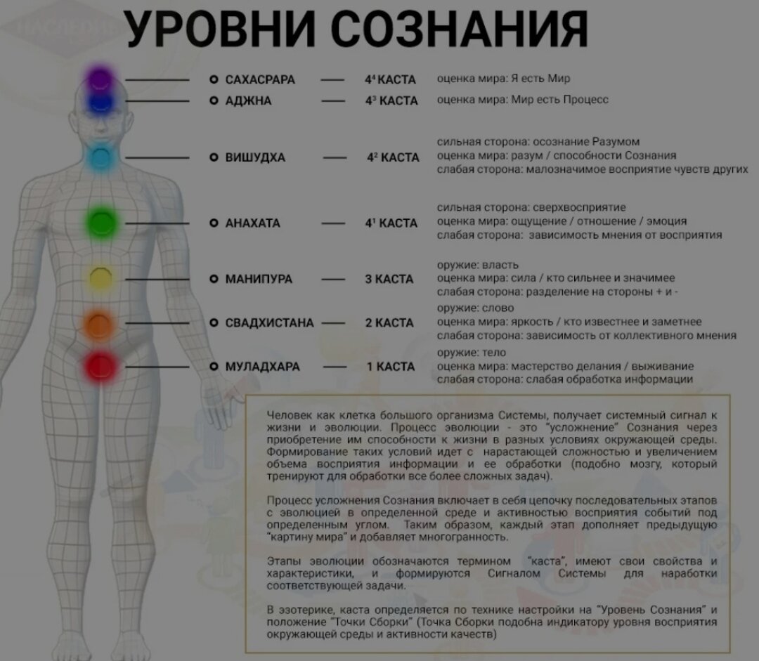 Вы точно человек?