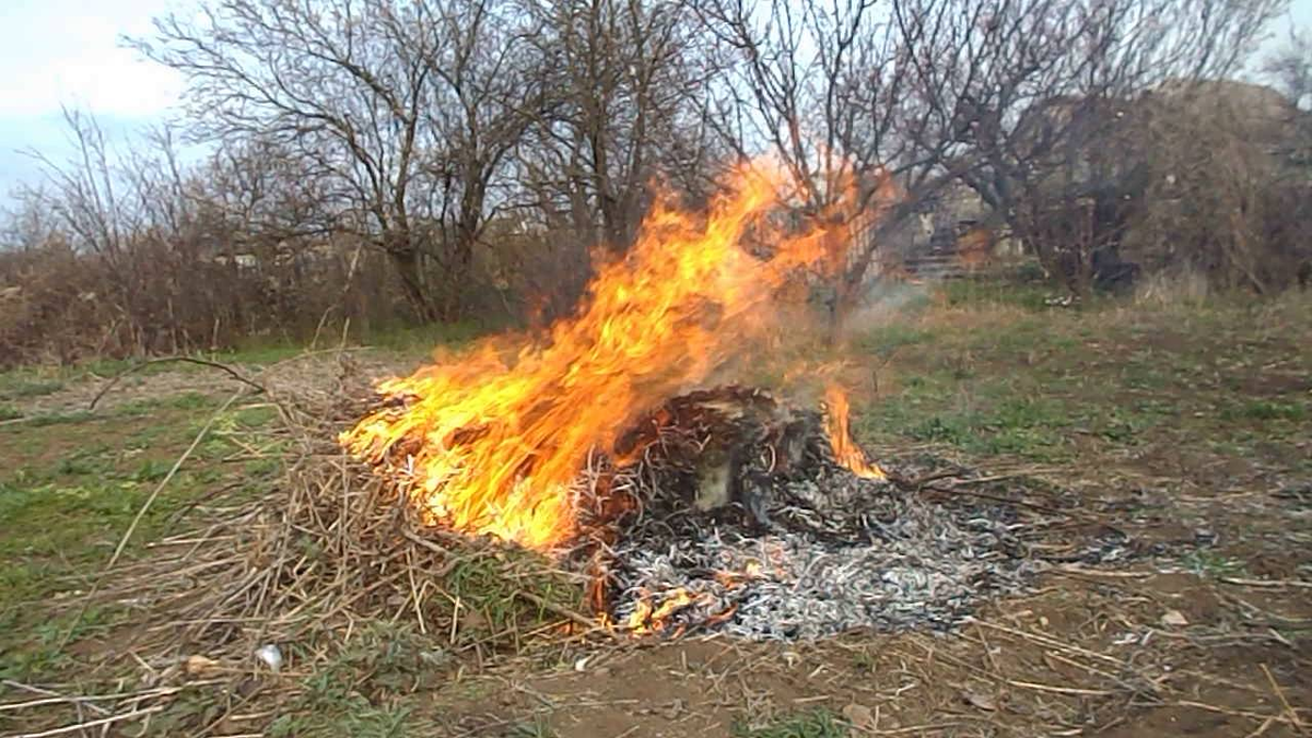 Поджигает кучи осенние ночные заморозки огэ. Костры в огороде. Сжигают траву на участках. Костер огонь на участке.