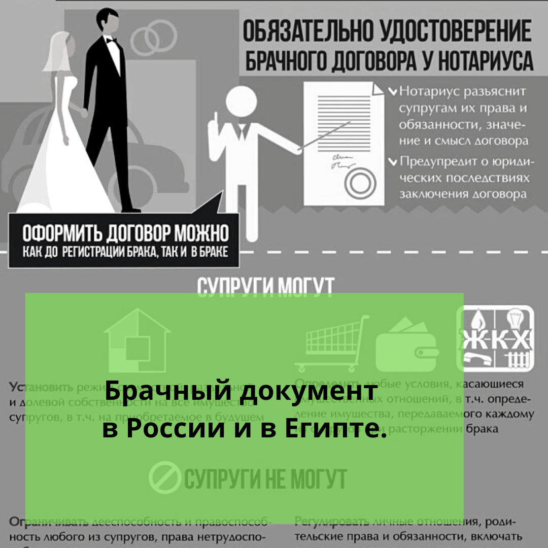 ⚠️Брачный документ в России и в Египте. | Ольга о Египте 🇪🇬 и не только |  Дзен