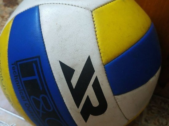     Хабаровский зоосад примет новогодние подарки для питомцев / Ольга Кива