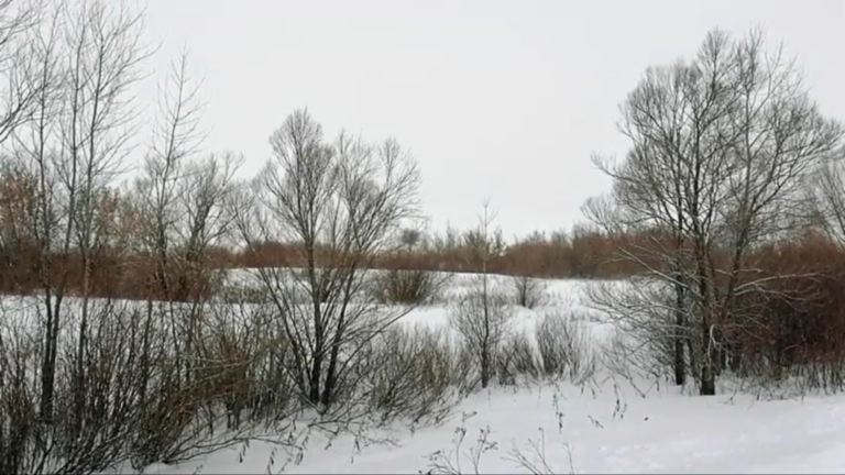    В Оренбургском заповеднике впервые в объектив фотоловушки попала рысь Белов Михаил Александрович