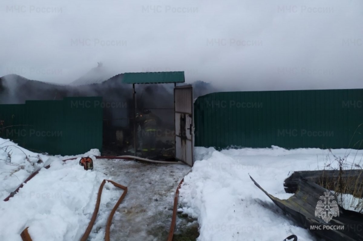    В огне под Ковровом пострадала 75-летняя женщина