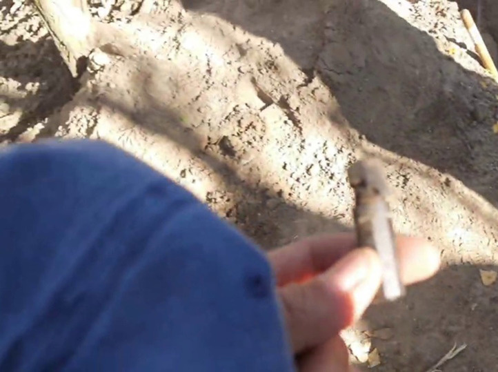     Найденный медальон при раскопках в зоне СВО. Скриншот видео Романа Жаркомбаева.