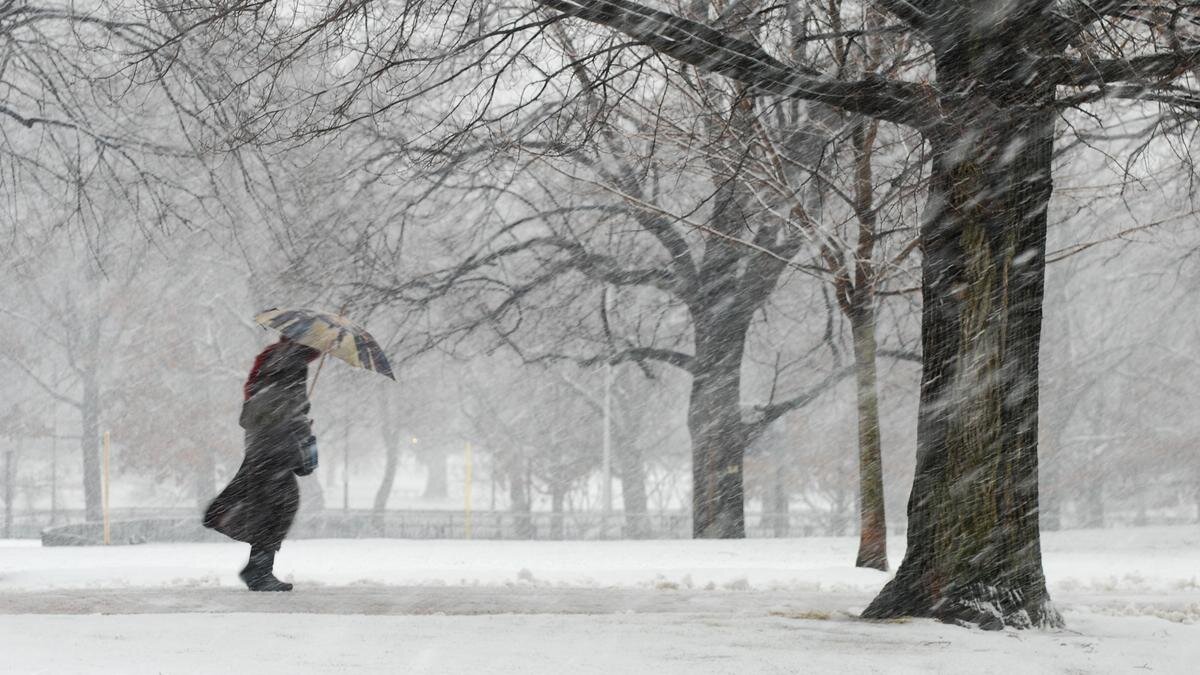    Девушка укрылась зонтом:Gillian Henry/Getty Images