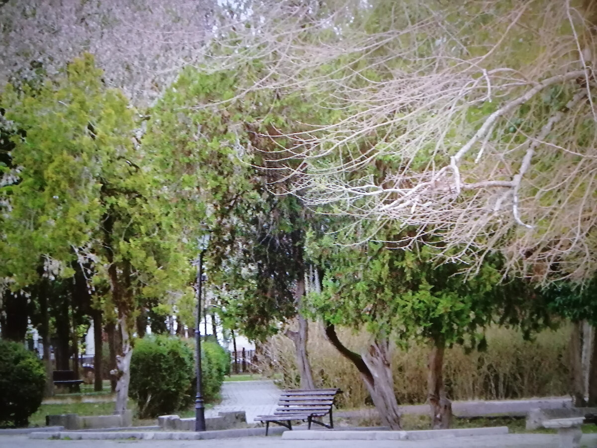 Гудаута. Парк.