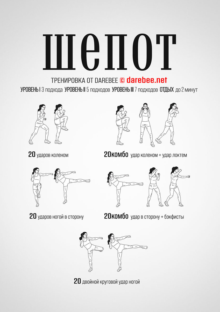 Новые тренировочные