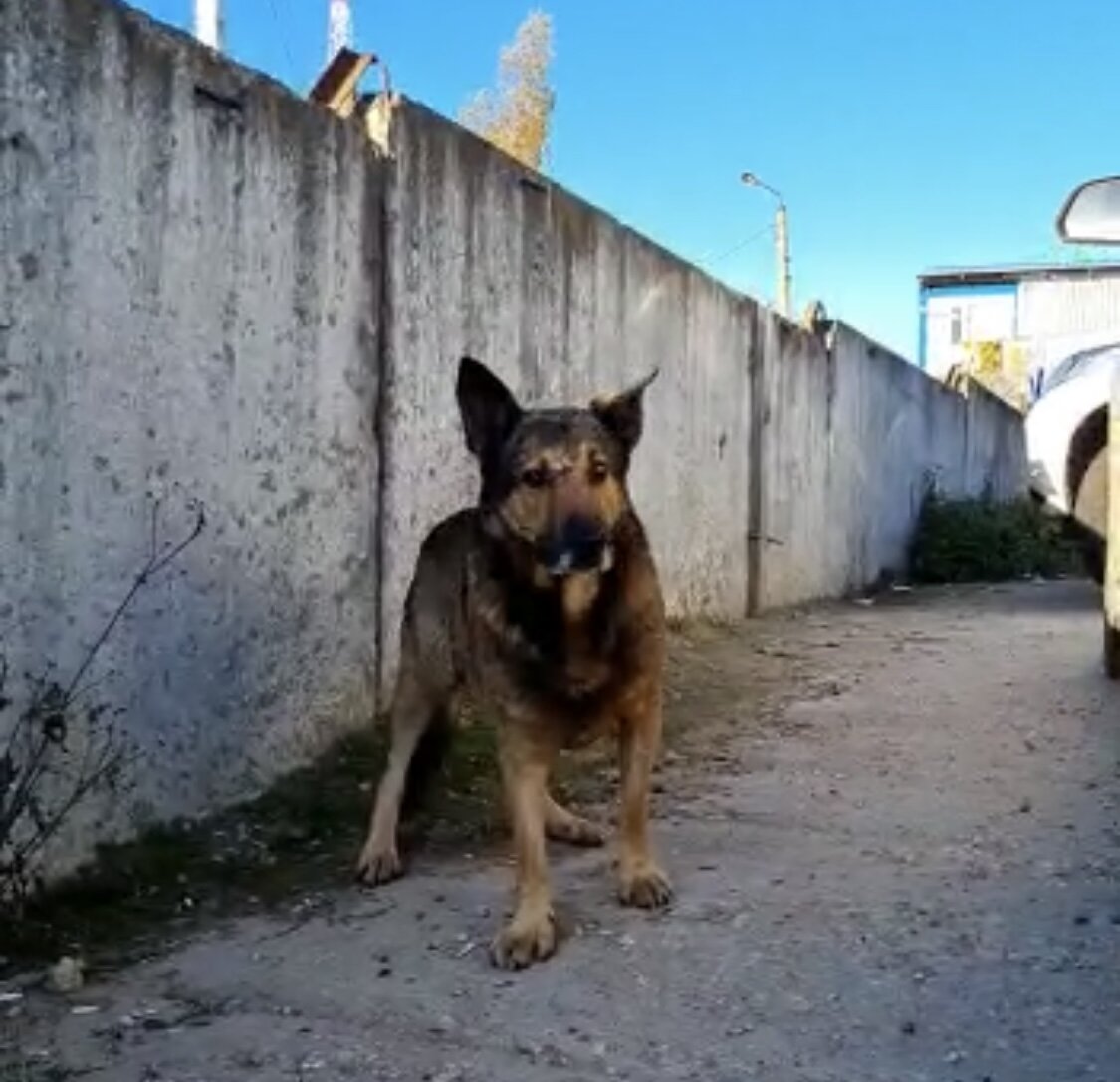 Отец милой маленькой леди