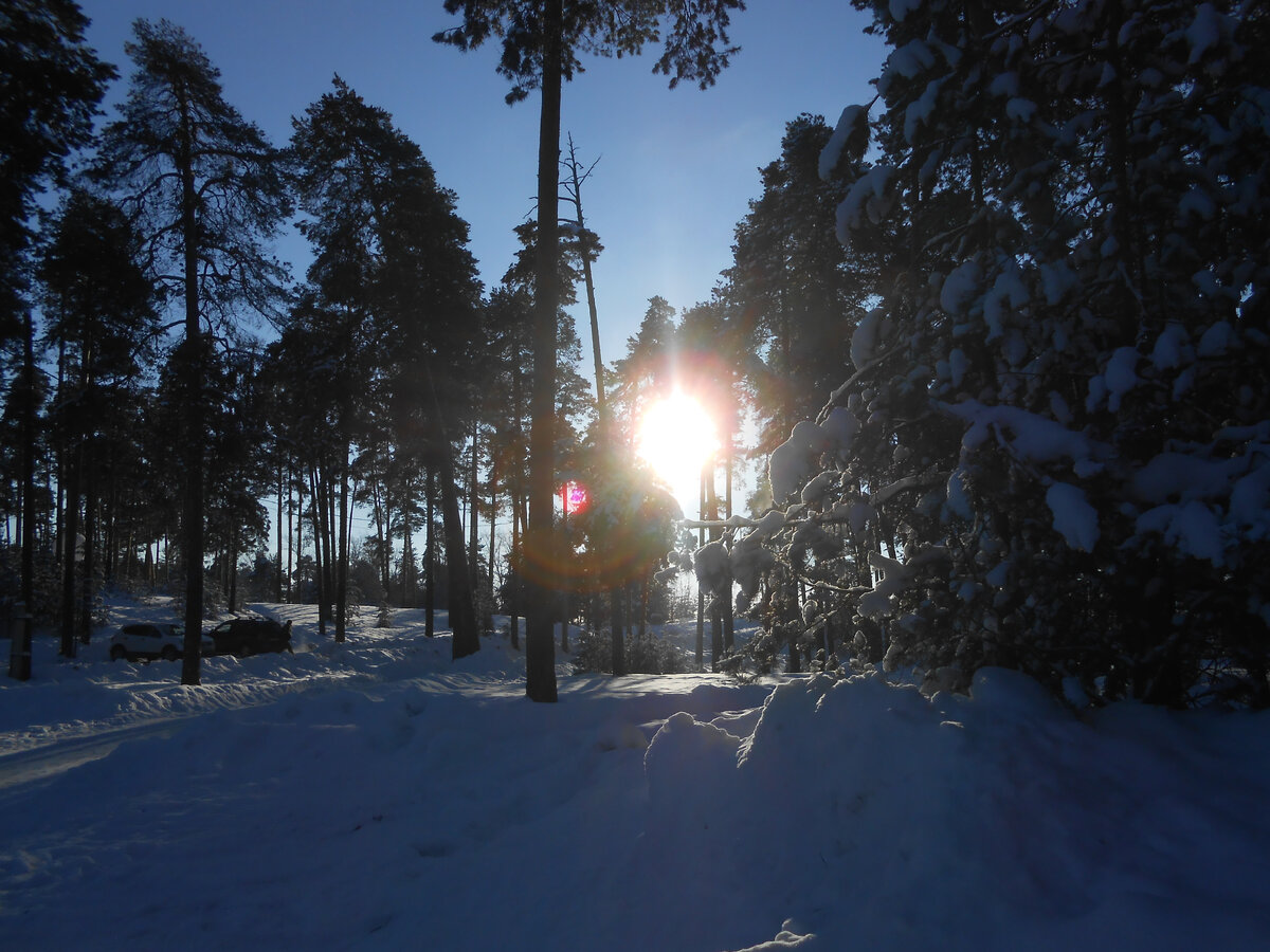 вчера в парке