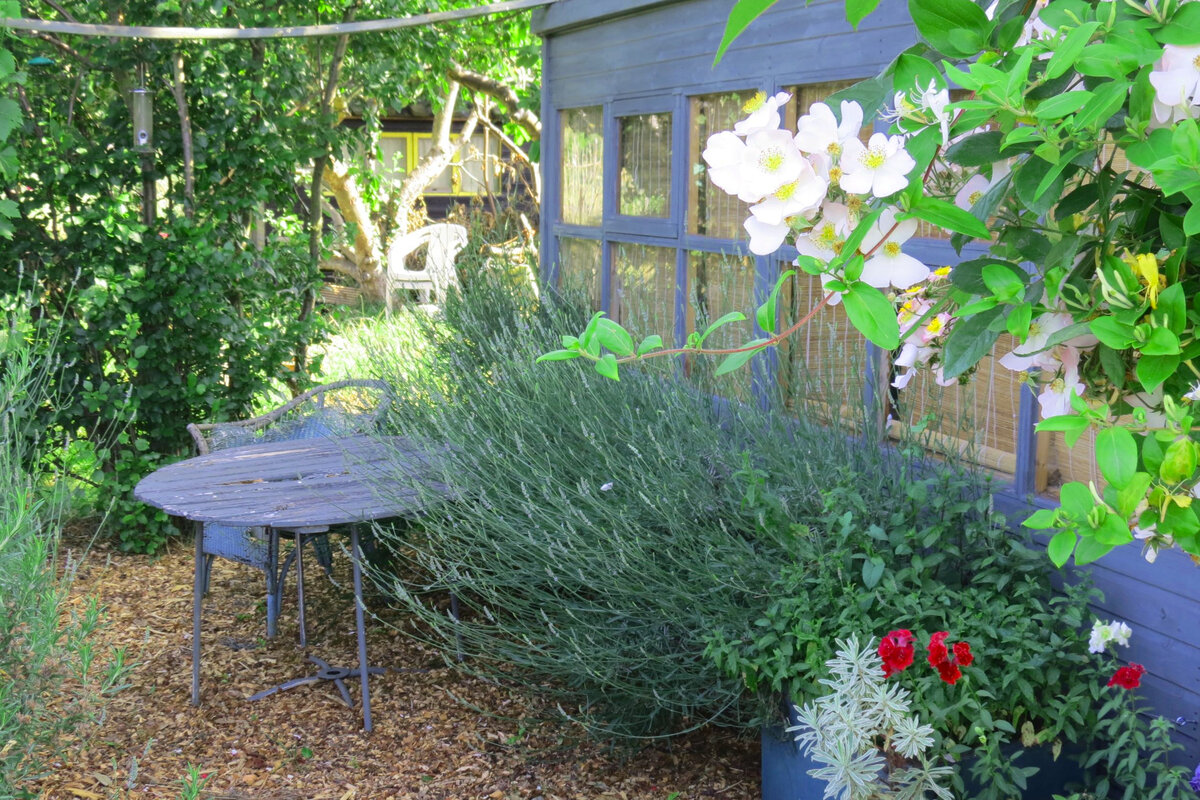    Мало какой садовод не мечтает о саде, требующем минимума ухода. Фото автора