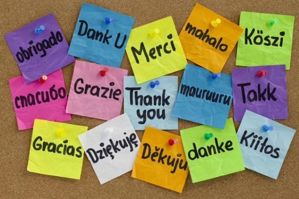 Яндекс картинки