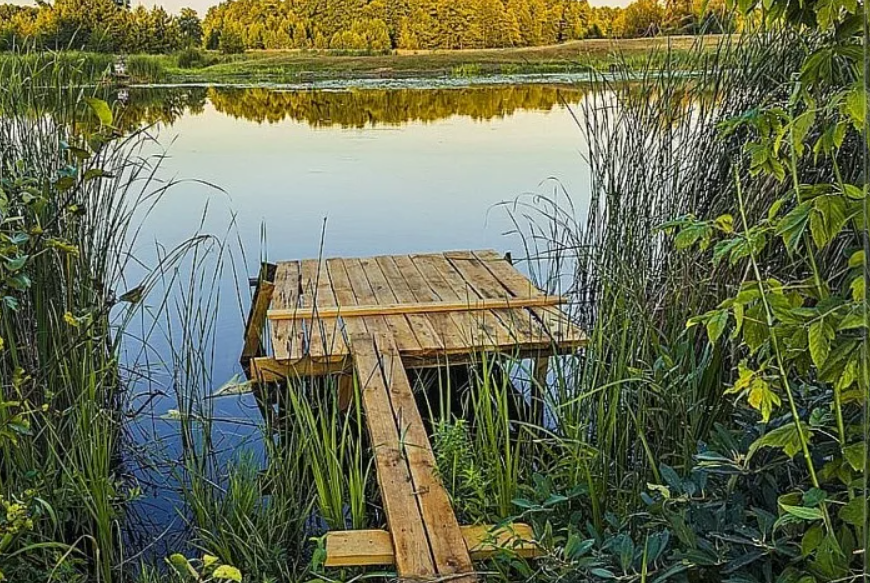 Фото рыбы на берегу реки