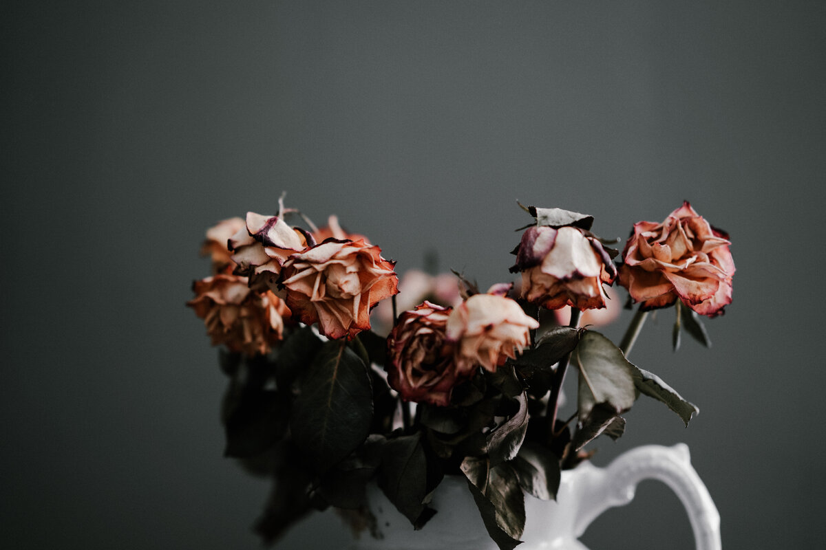 Фото Энни Спратт на Unsplash