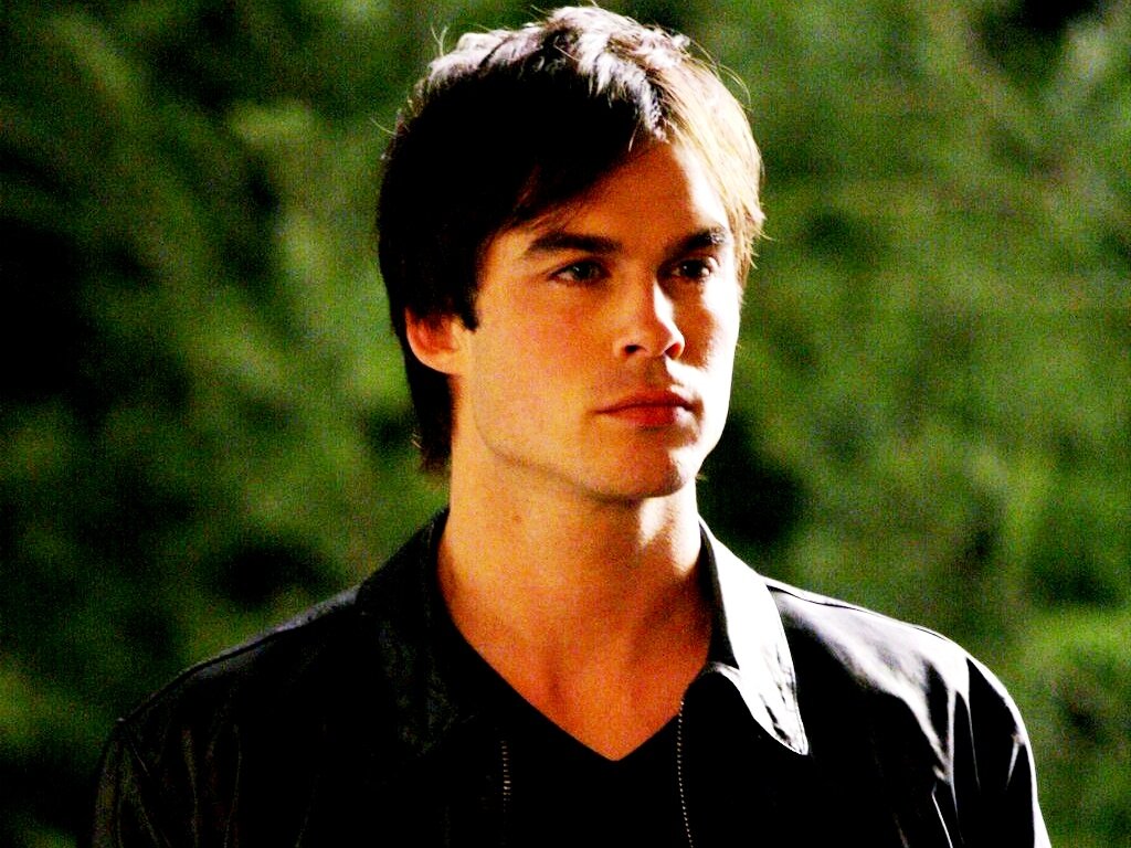 https://images5.fanpop.com/image/photos/24800000/Damon-Salvatore-damon-salvatore-24872481-1024-768.jpg