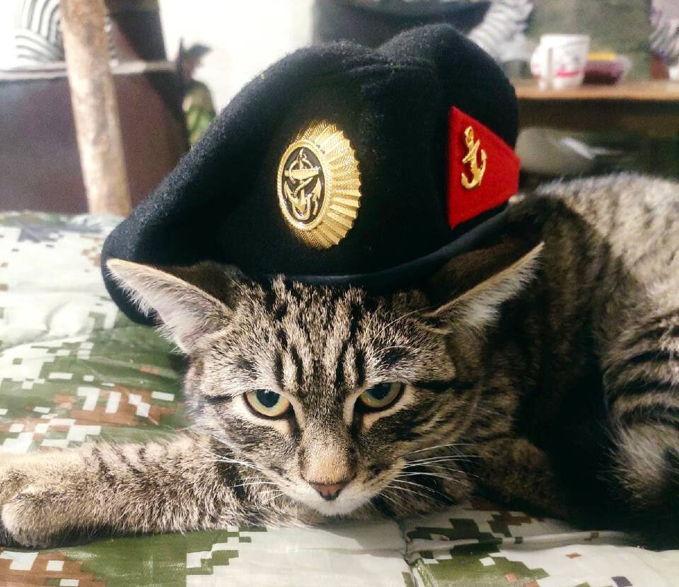    Кот «Морпех» дарит мышей на удачу. Фото: Из личного архива/ Валерия Петрусевич