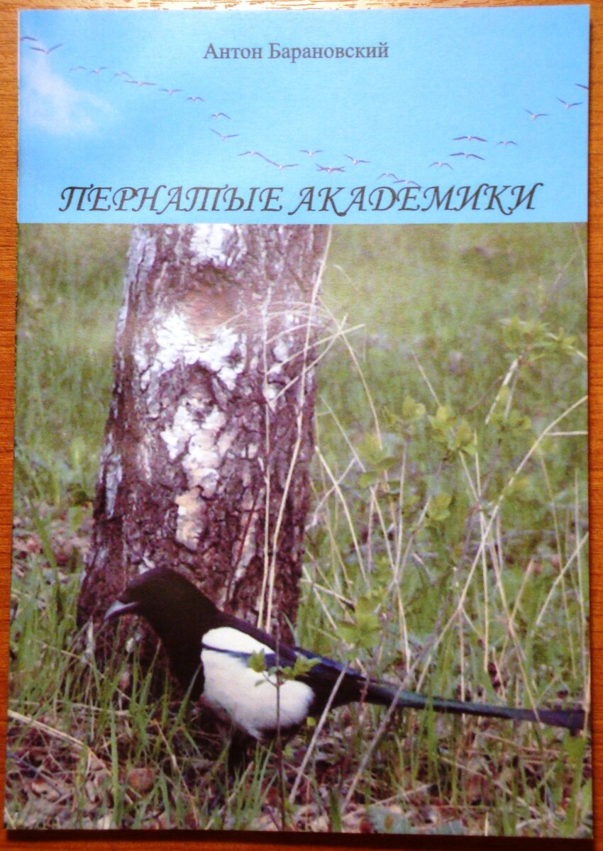 Обложка одной из книжек