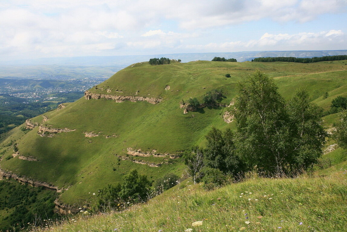 Кисловодский район