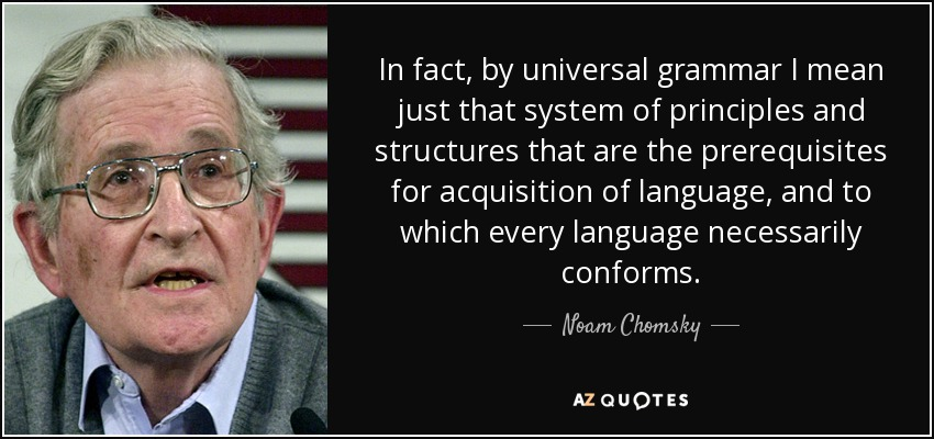 Если быть точным, то под универсальной грамматикой я понимаю систему принципов и структур, которые являются необходимыми условиями для усвоения языка, и которые обязательно свойственны каждому языку. 