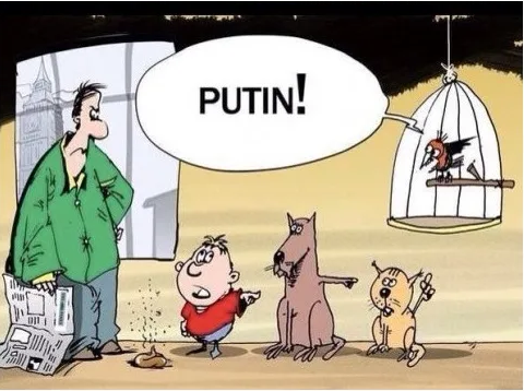 Из открытых источников