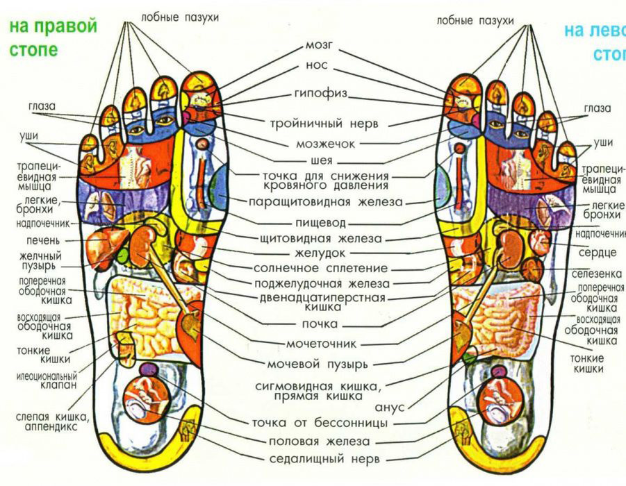 Лева правая правая и левая. Точки на стопе ноги отвечающие за органы человека схема. Массажные точки на ступнях ног схема. Точки на подошве ноги отвечающие за органы. Рефлекторные зоны стопы схема органы.