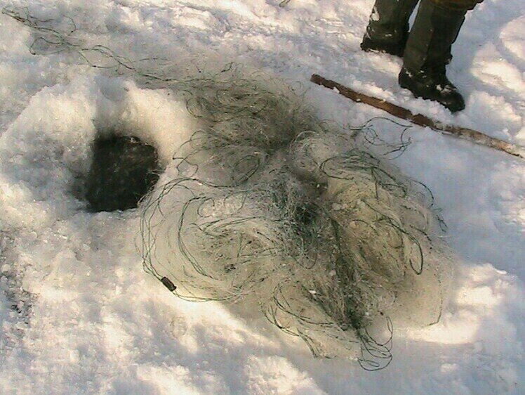     Фото: МОКТУ.