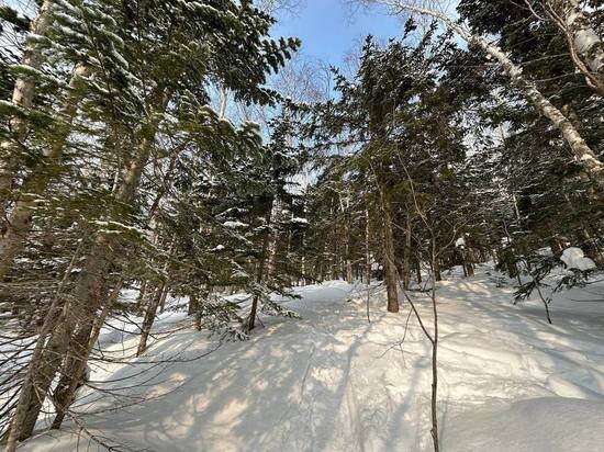 ФОТО: АННА РОМАХИНА