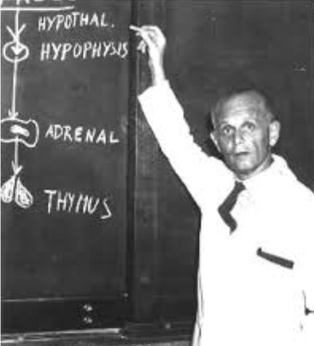 Ганс Селье. От мечты к открытию. 