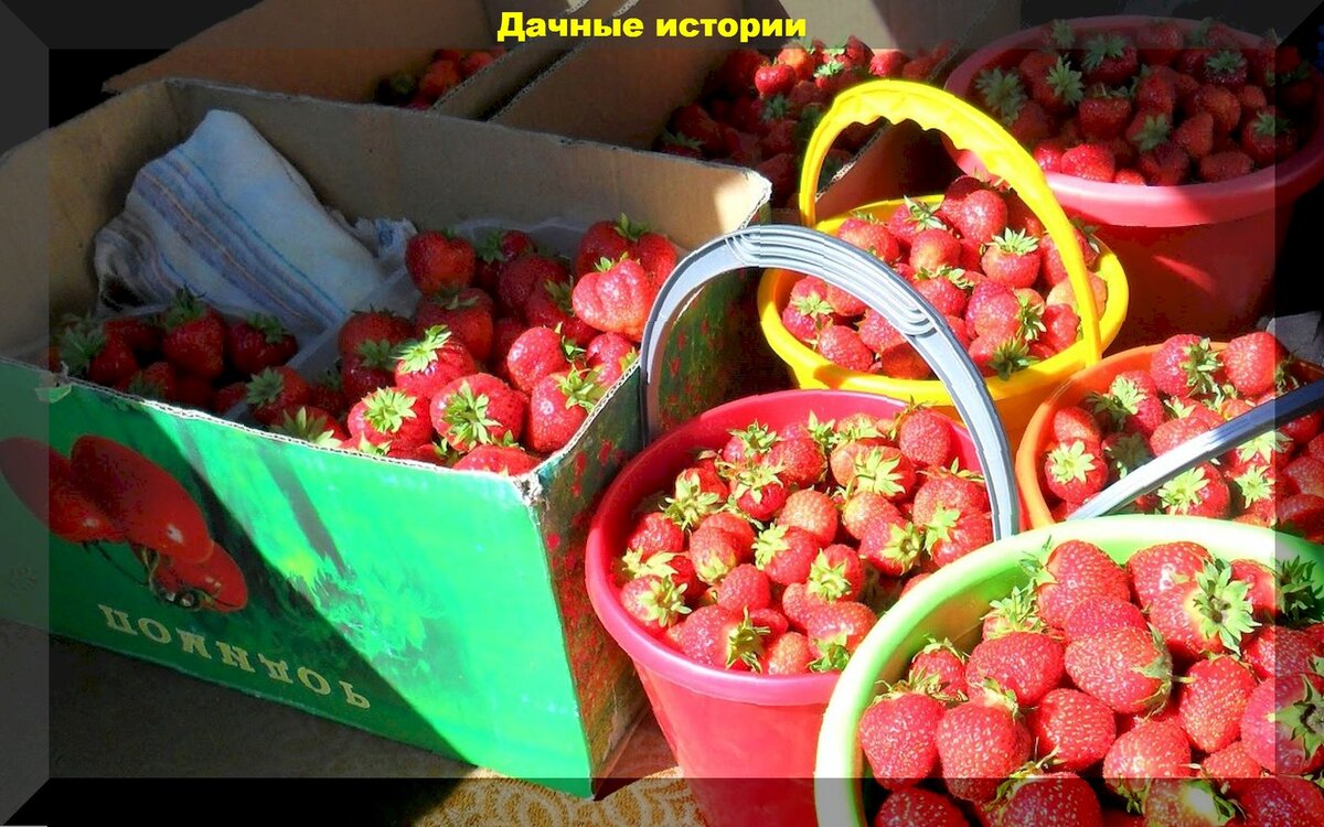 https://vk.com/photo-159774511_457259668