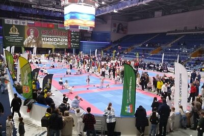    Международный фестиваль спортивных единоборств и боевых искусств в Мытищах ©