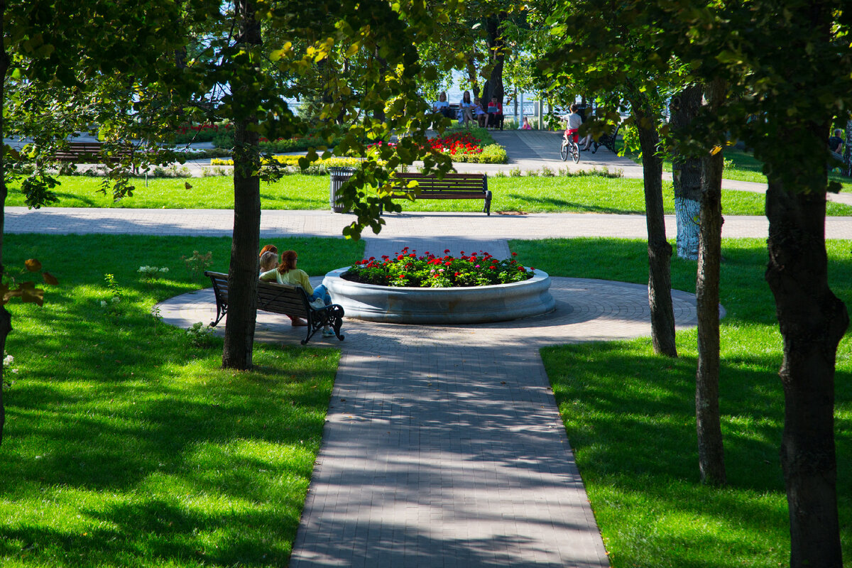 деревья на арбате в москве. озеленитель. ботанический сад аптекарский огород москва. дача сад огород. ландшафтный дизайнер алексей лысенков.