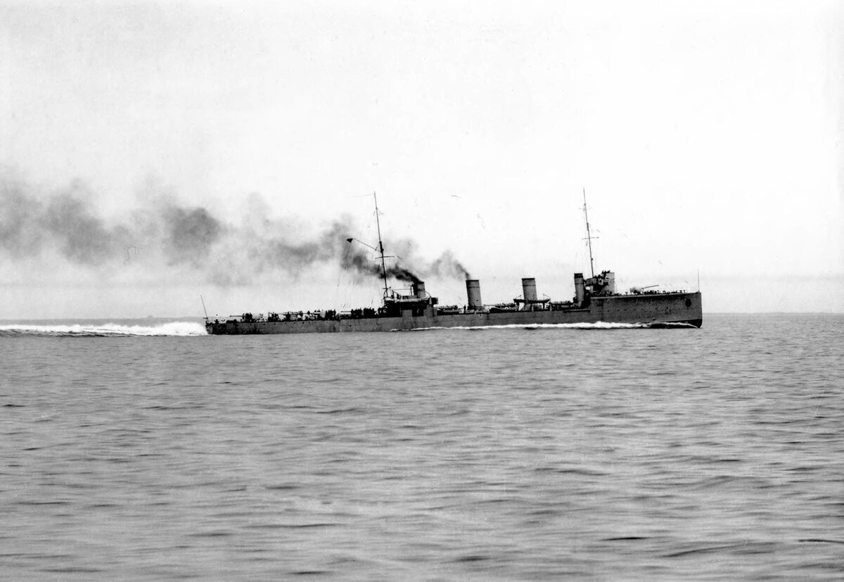 Новик. Источник фото: https://fotoload.ru/foto/617153/1920x1080/