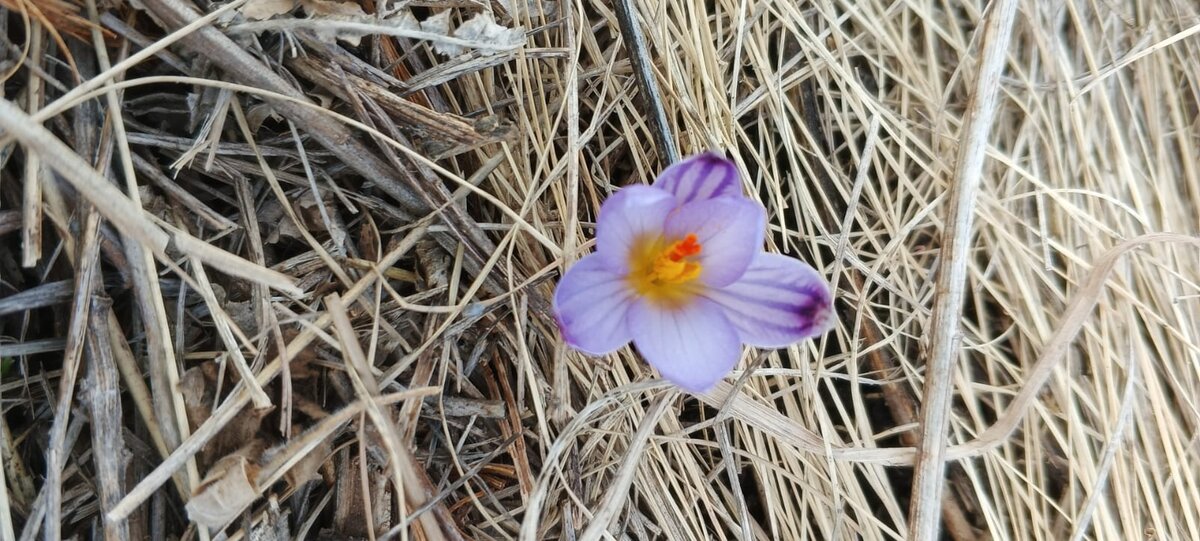 Фото Ларисы Малковой