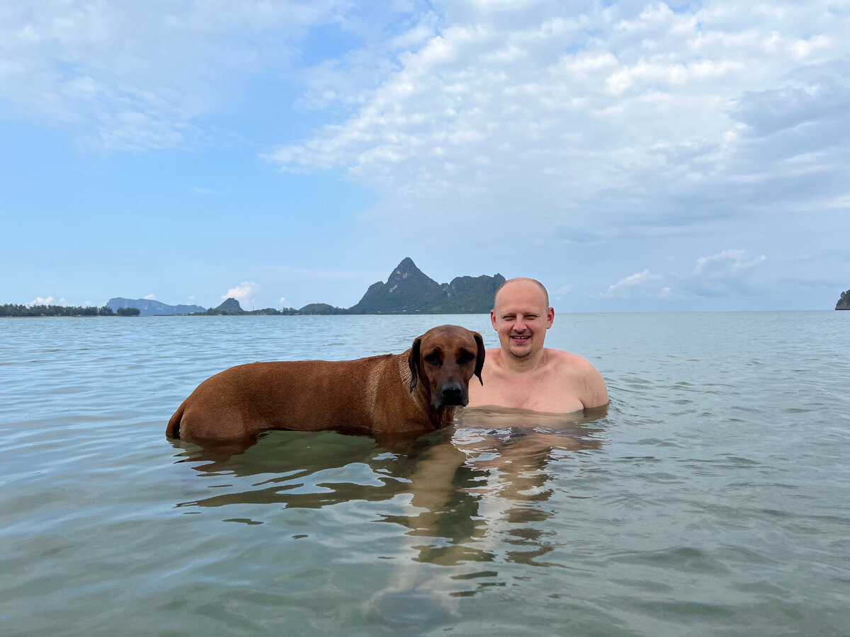 В Таиланде мы провели 3 месяца, намотали более 4 тыс км на скутере с прицепом. Хочется подытожить. Мы тут не первый раз много колесили и до этого без собаки, на скутере и на своих двоих.-4