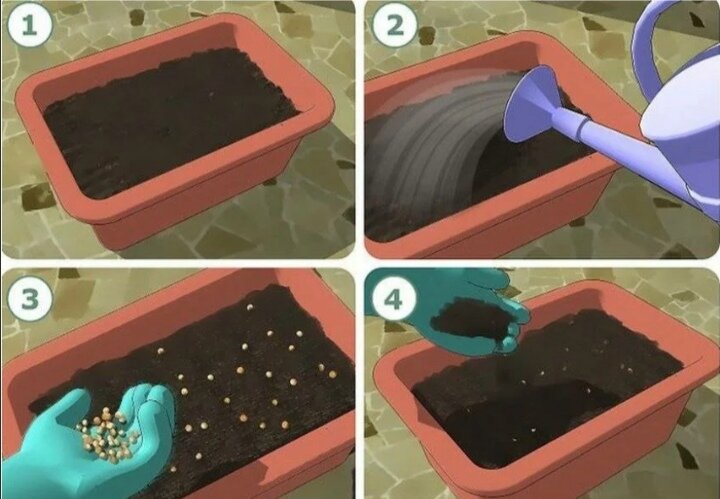 Обеззараживание почвы горячей водой. 