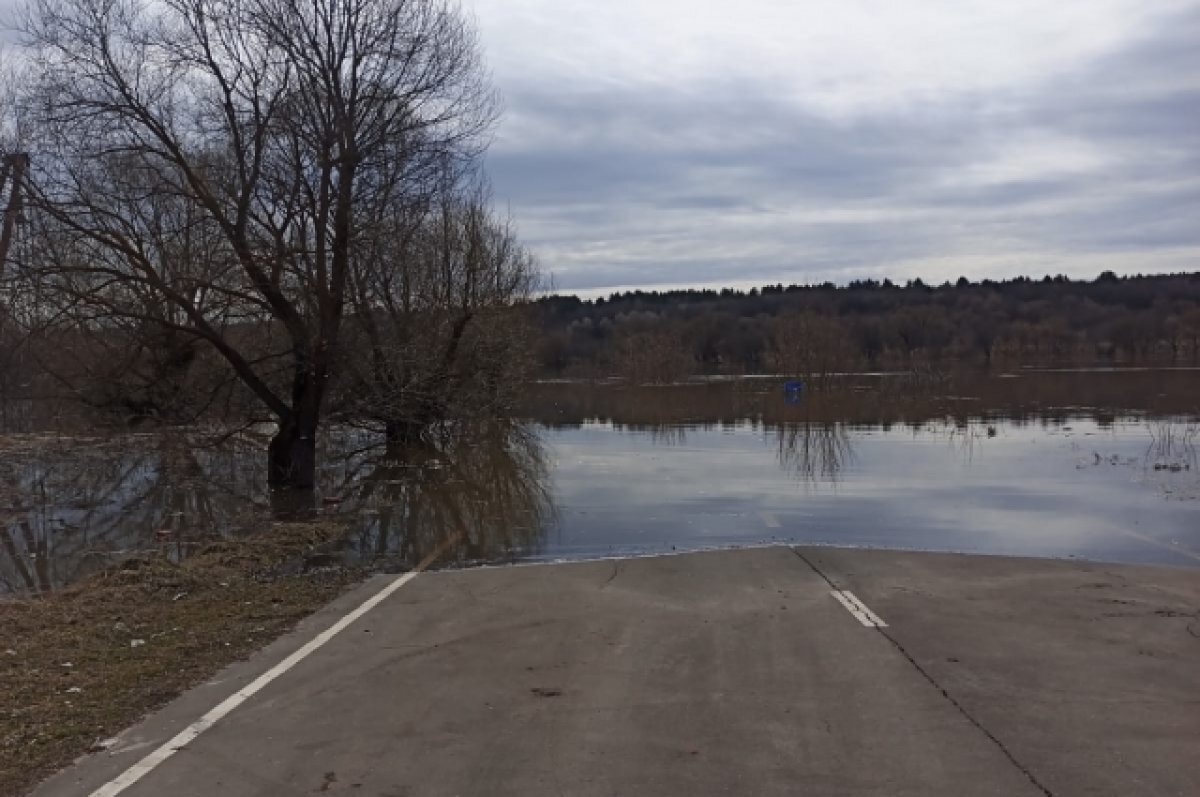 Уровень воды в оке в 2023 году