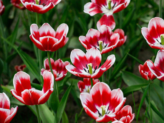     Фото: Вадим Боченков