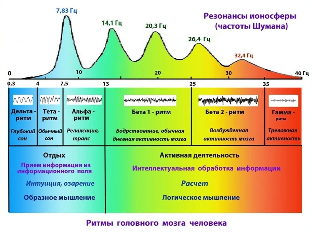 Альфа бета тета ритмы мозга