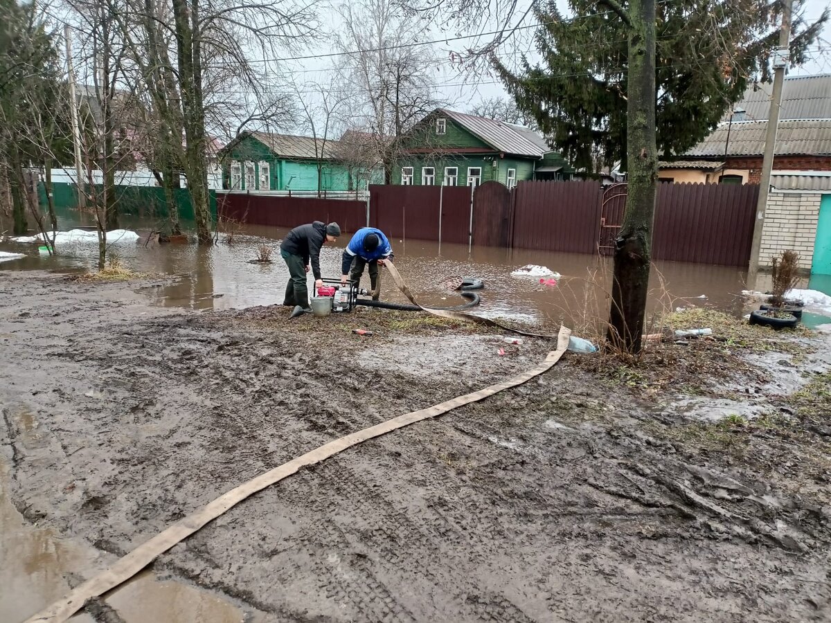 В мичуринске нашли