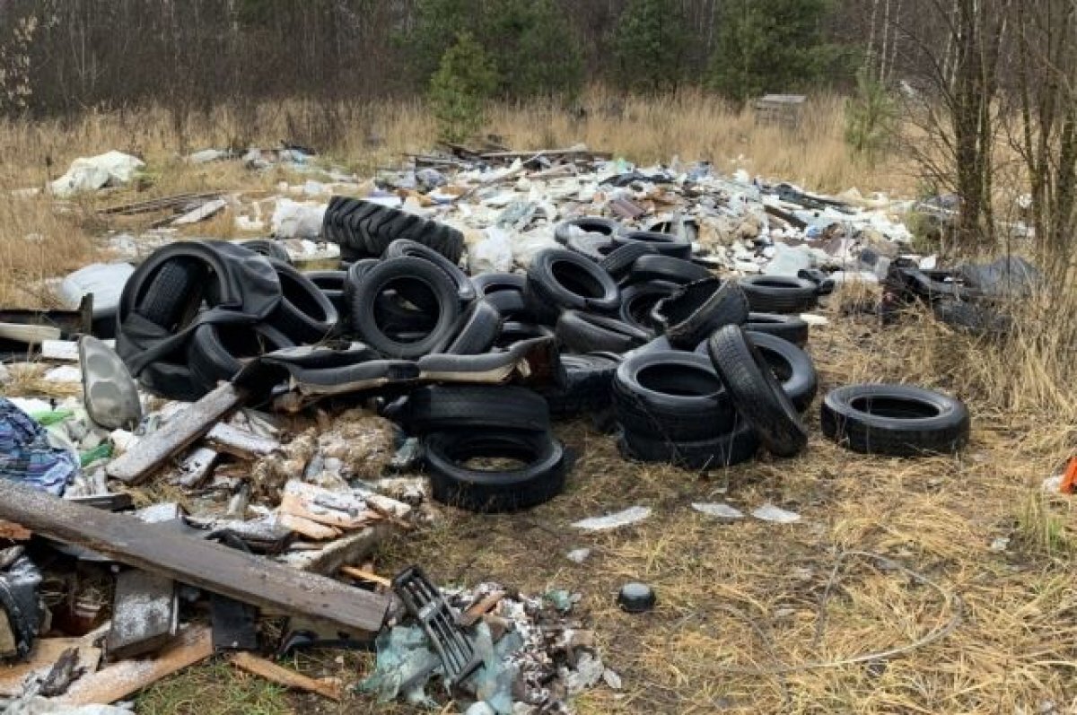 За год в Прикубанском округе Краснодара убрали более 150 незаконных свалок  | АиФ-Юг | Дзен