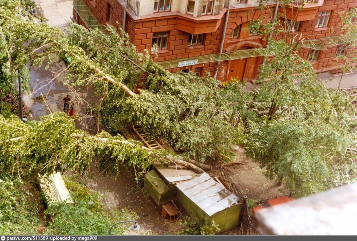 Последствия урагана во дворе дома №2/1 оп Новоподмосковному проезду недалеко от метро "Войковская", 1998. С сайта www.pastvu.com.