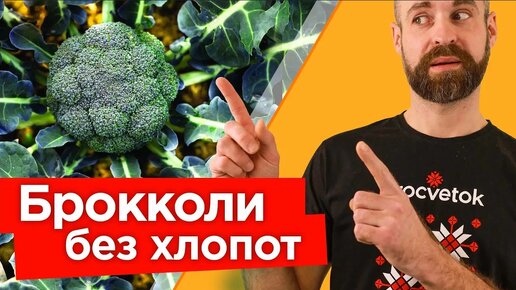 Делюсь секретами огромного урожая брокколи! Тонкости выращивания брокколи от посева до сбора урожая 🥦