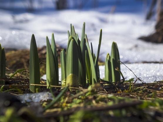 Источник фото: pixabay