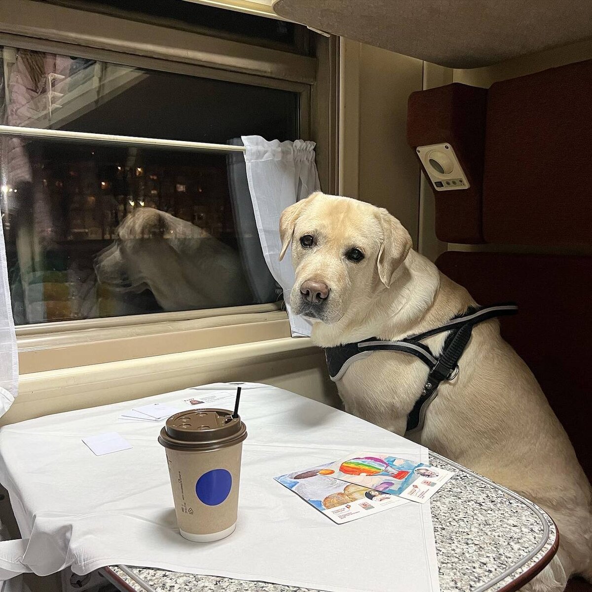 Это мое первое путешествие, а мне уже 8 лет! Мама выкупила мне все купе. Кайф!