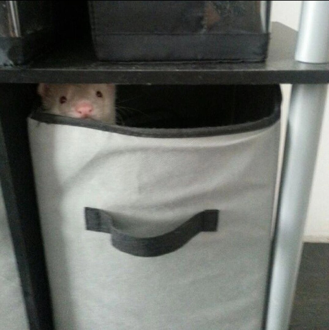 Ну кого, кого!? Меня, конечно же❤