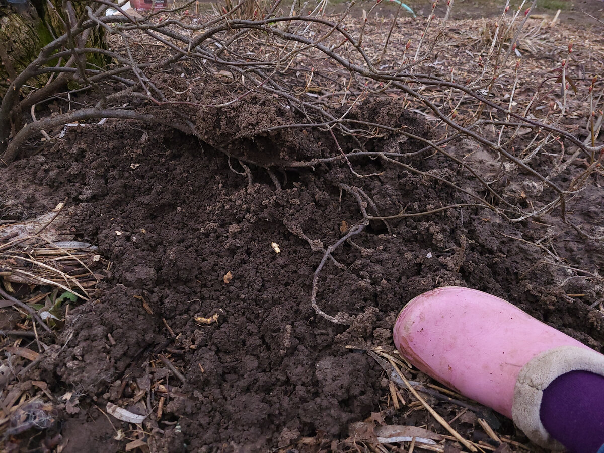 Нога для масштаба )) В статье использованы фото автора 