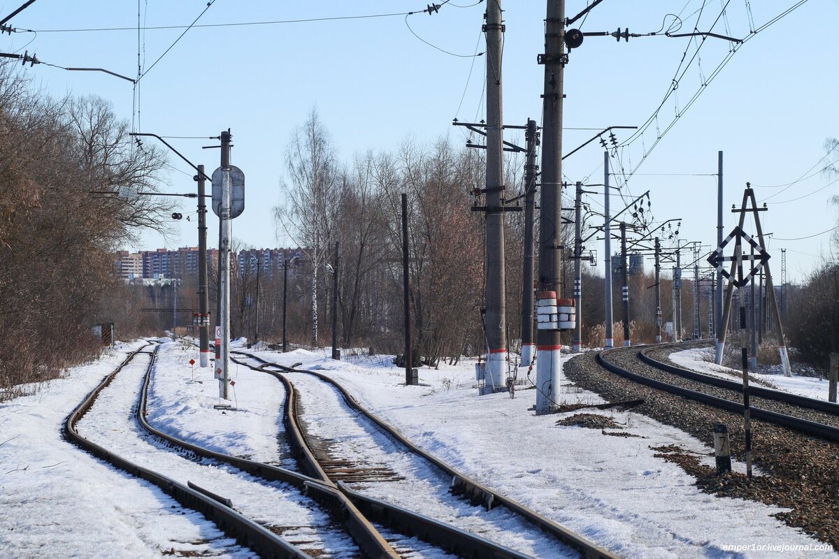 яхрома белый раст электричка фото 8