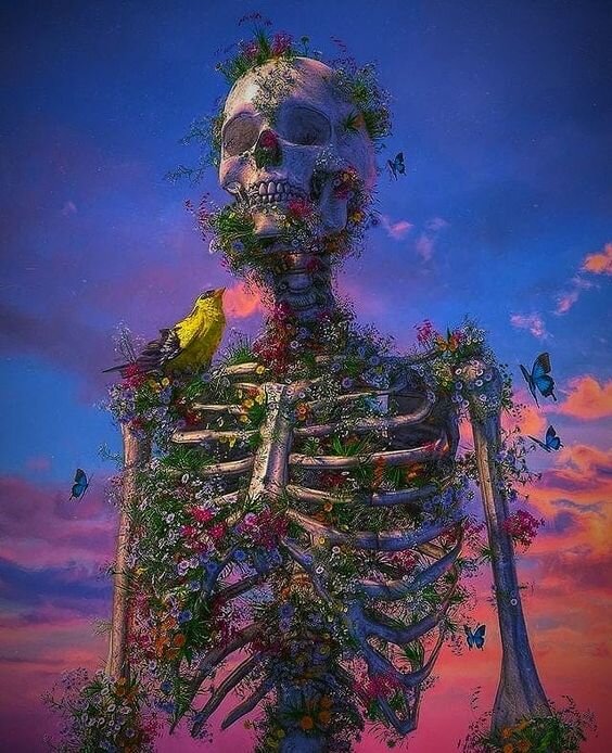 Красота внутри